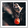 ツグミ写真サムネイル：野鳥フォトギャラリー